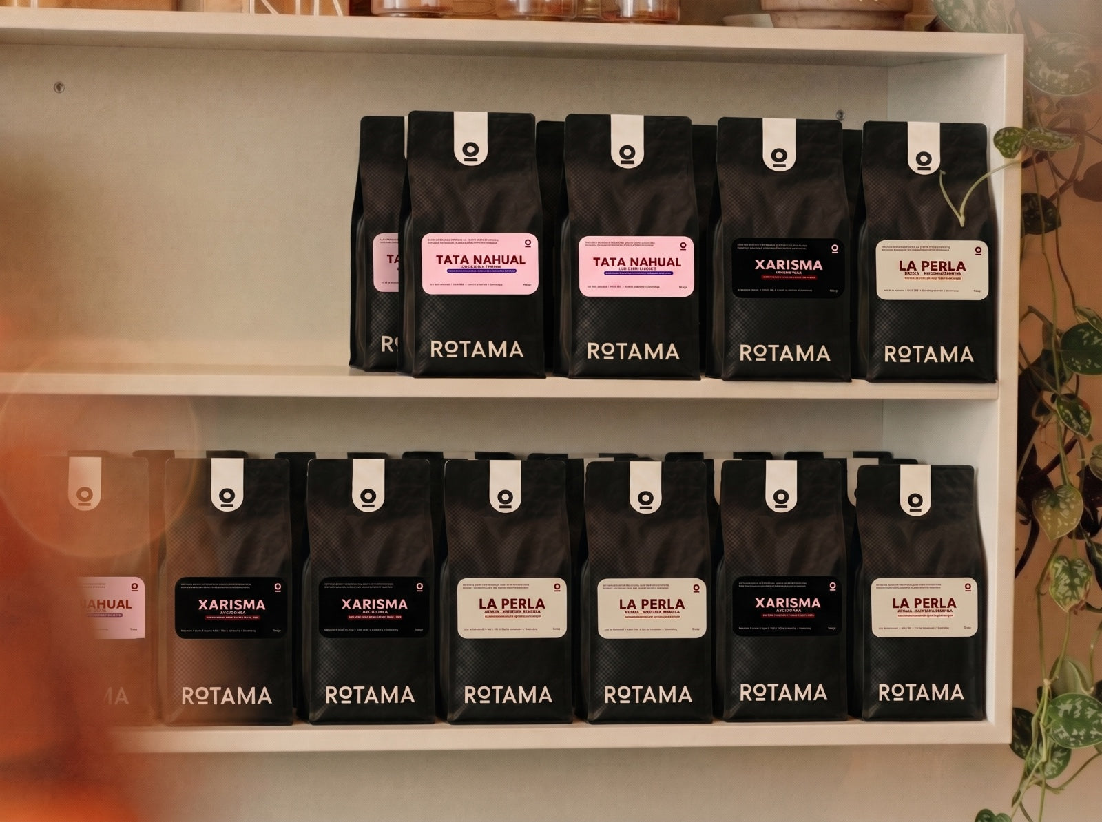 SUSCRIPCIÓN FLEX CAFÉ