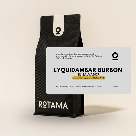 LYQUIDAMBAR BURBON - EL SALVADOR